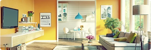Yellow Painted Living Room