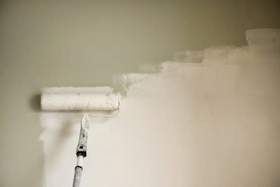 Paint Roller